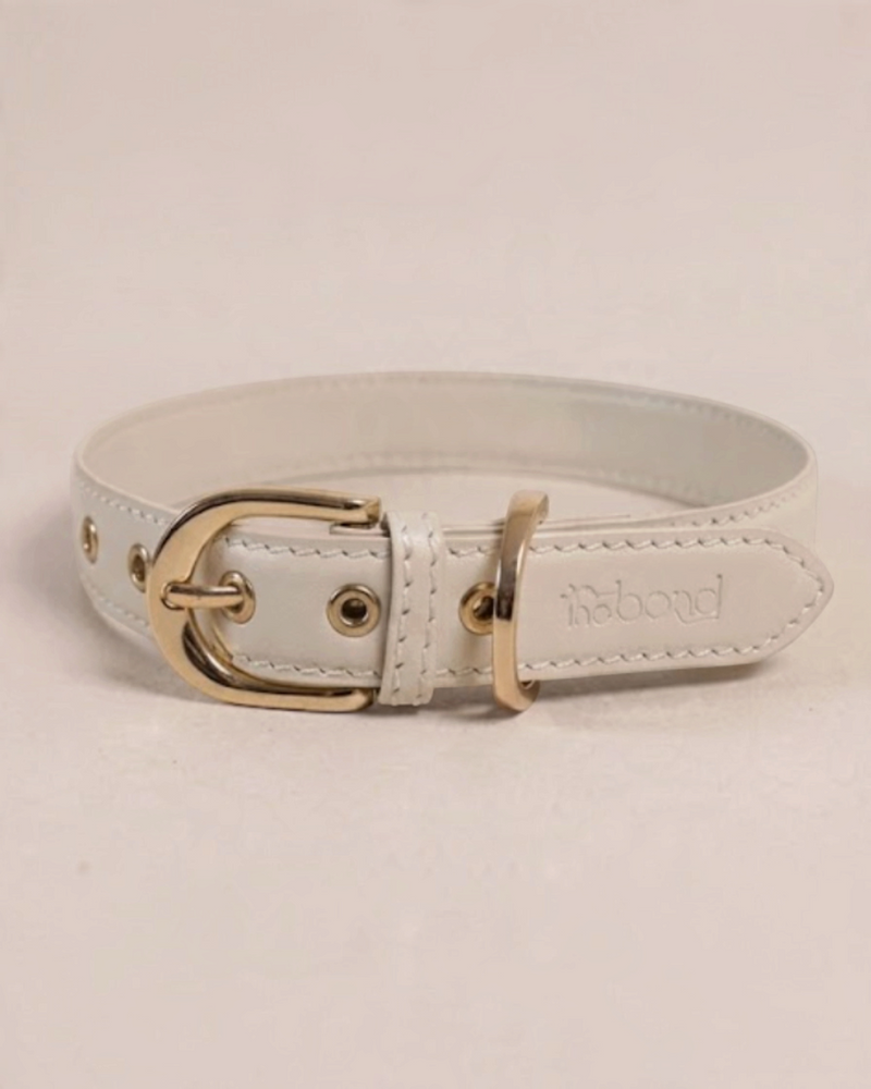 The bond Essential Collar in white leather with gold-tone buckle and hardware for dogs
