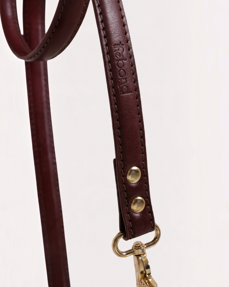 The bond vegetable tanned leather dog lead in deep brown with solid zinc hardware and hand-stitched detailing.