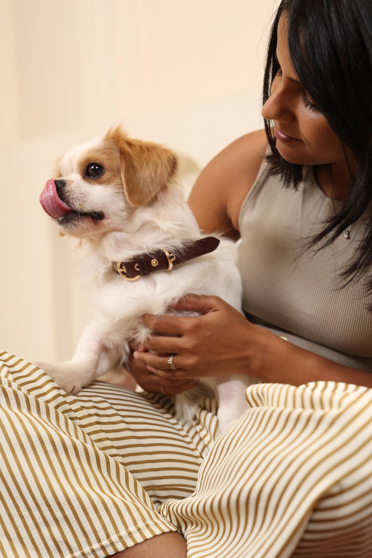 Essential Collar