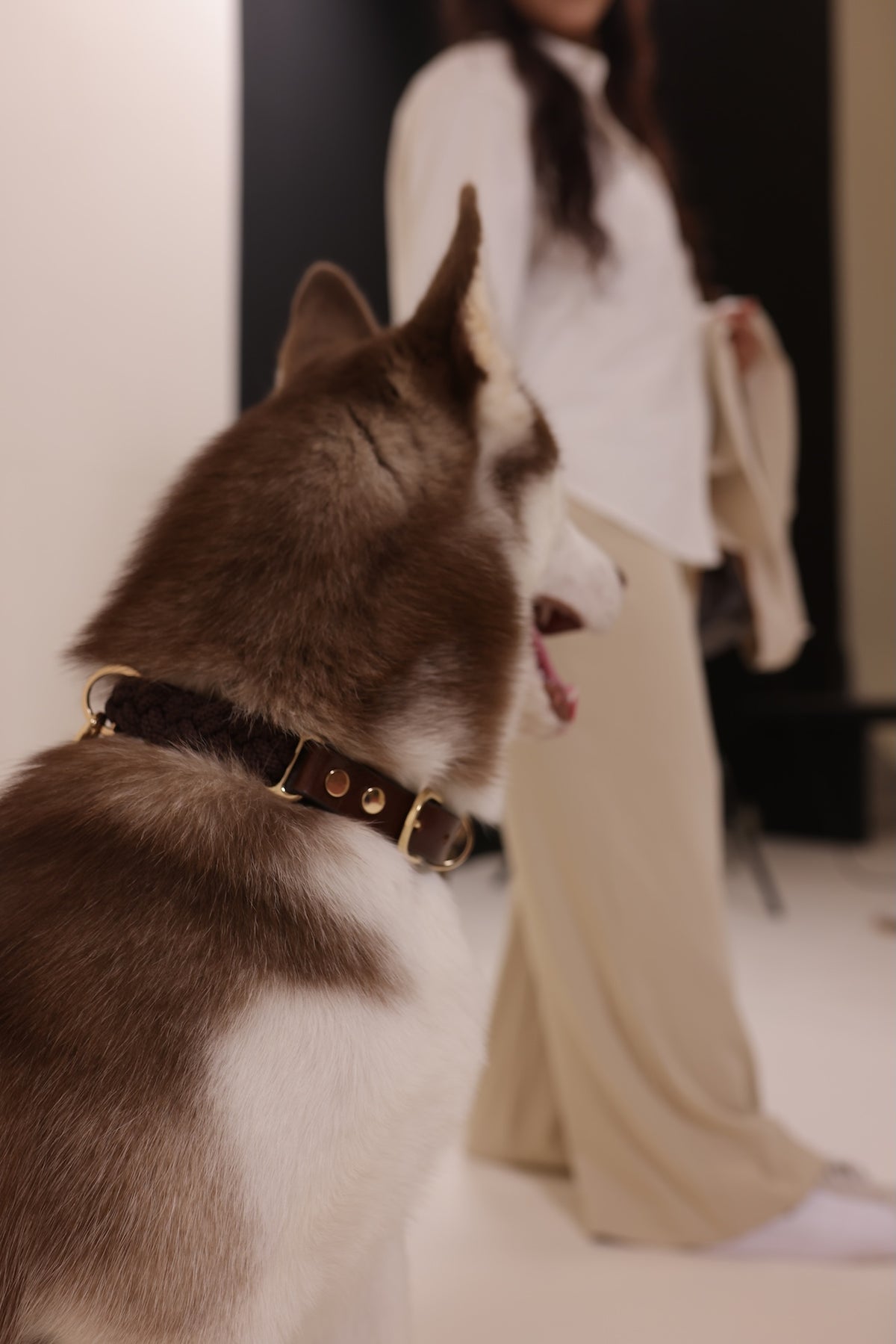 Statement Collar