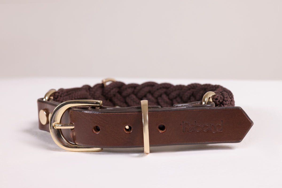 Statement Collar