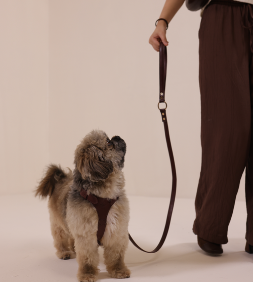Leash