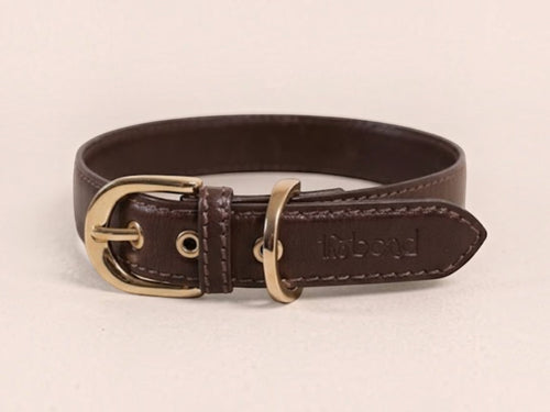 The bond Essential dog collar in dark brown leather with a polished gold buckle and embossed logo detail.
