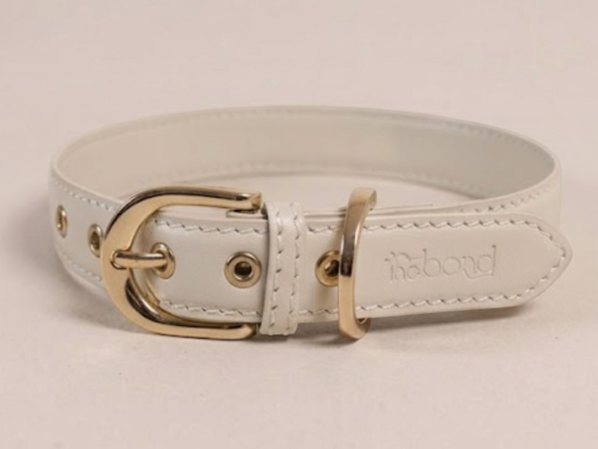 The bond Essential Collar in white leather with gold-tone buckle and hardware for dogs