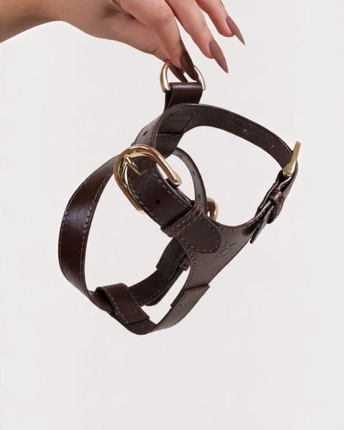 The bond brown leather dog harness with gold-toned hardware and Y-shaped front held by a hand.