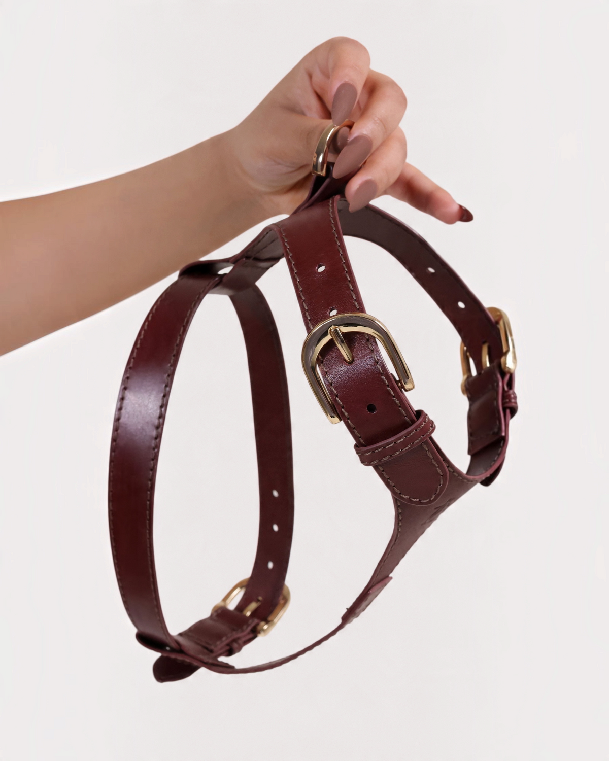 The bond handmade brown leather dog harness with adjustable buckles and gold-toned hardware held by a hand