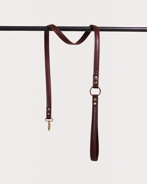 The bond brown vegetable tanned leather dog lead with solid zinc hardware and swivel snap hooks.