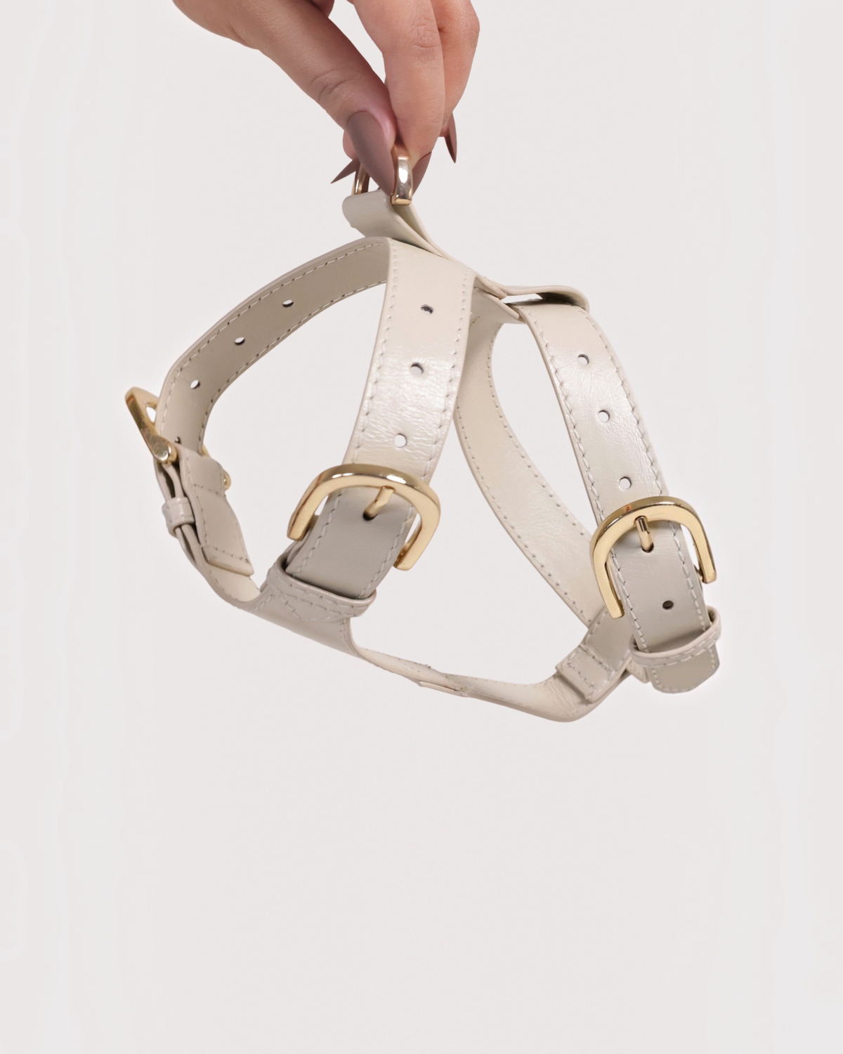 The bond handmade cream leather dog harness with adjustable straps and gold-toned zinc hardware held by a hand