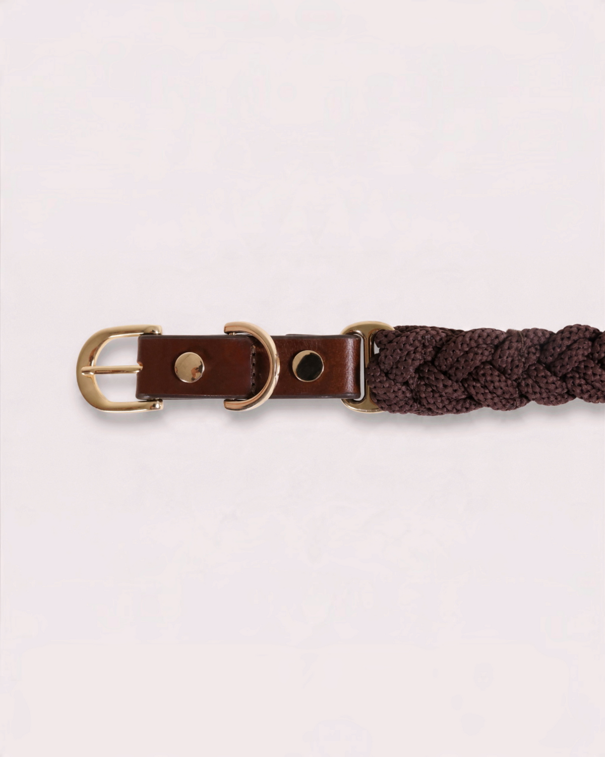 The bond Heirloom dog collar featuring brown full-grain leather, braided cord, and polished brass hardware.