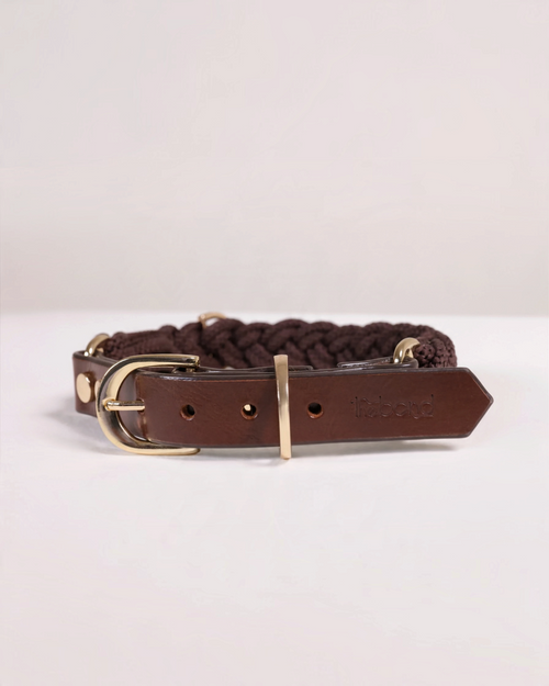 The bond Heirloom premium brown full-grain leather dog collar with braided detail and solid brass hardware
