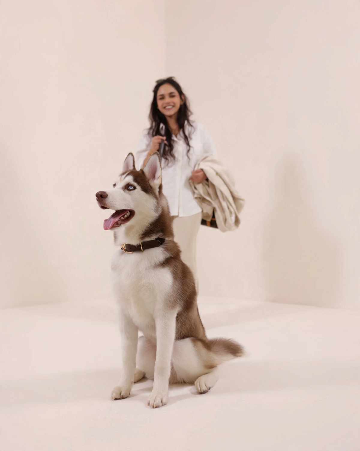 The bond Heirloom brown leather dog collar on a husky, with a woman standing in the background in a studio setting.